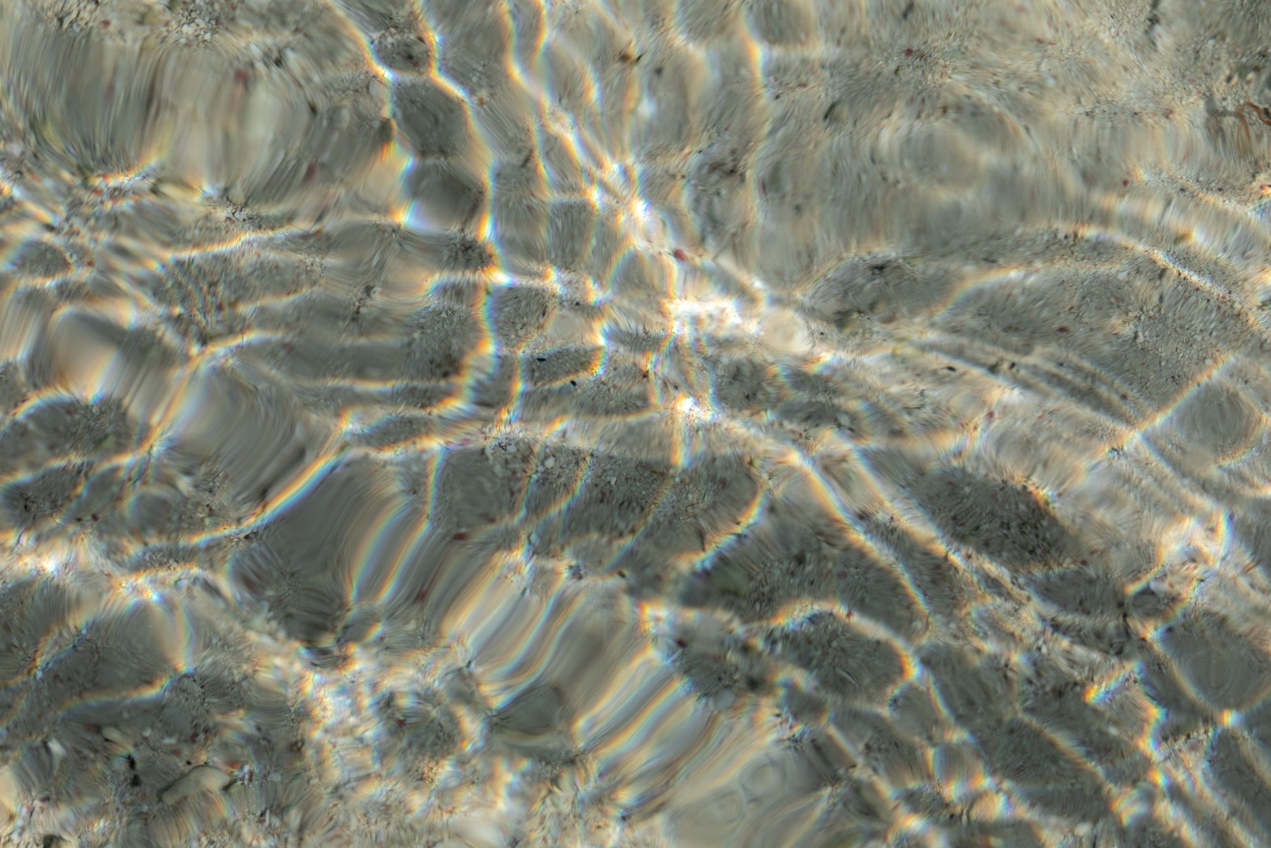 agencia marketing real